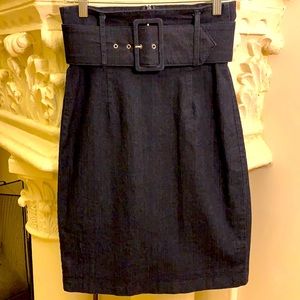 High-Waisted PENCIL DENIM SKIRT...MINT LIKE NEW!